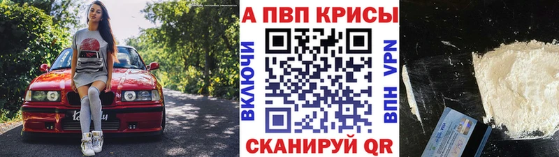 A PVP СК КРИС  Звенигород 