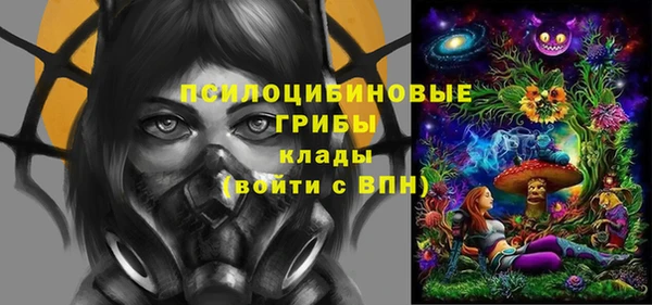 крисы Абинск